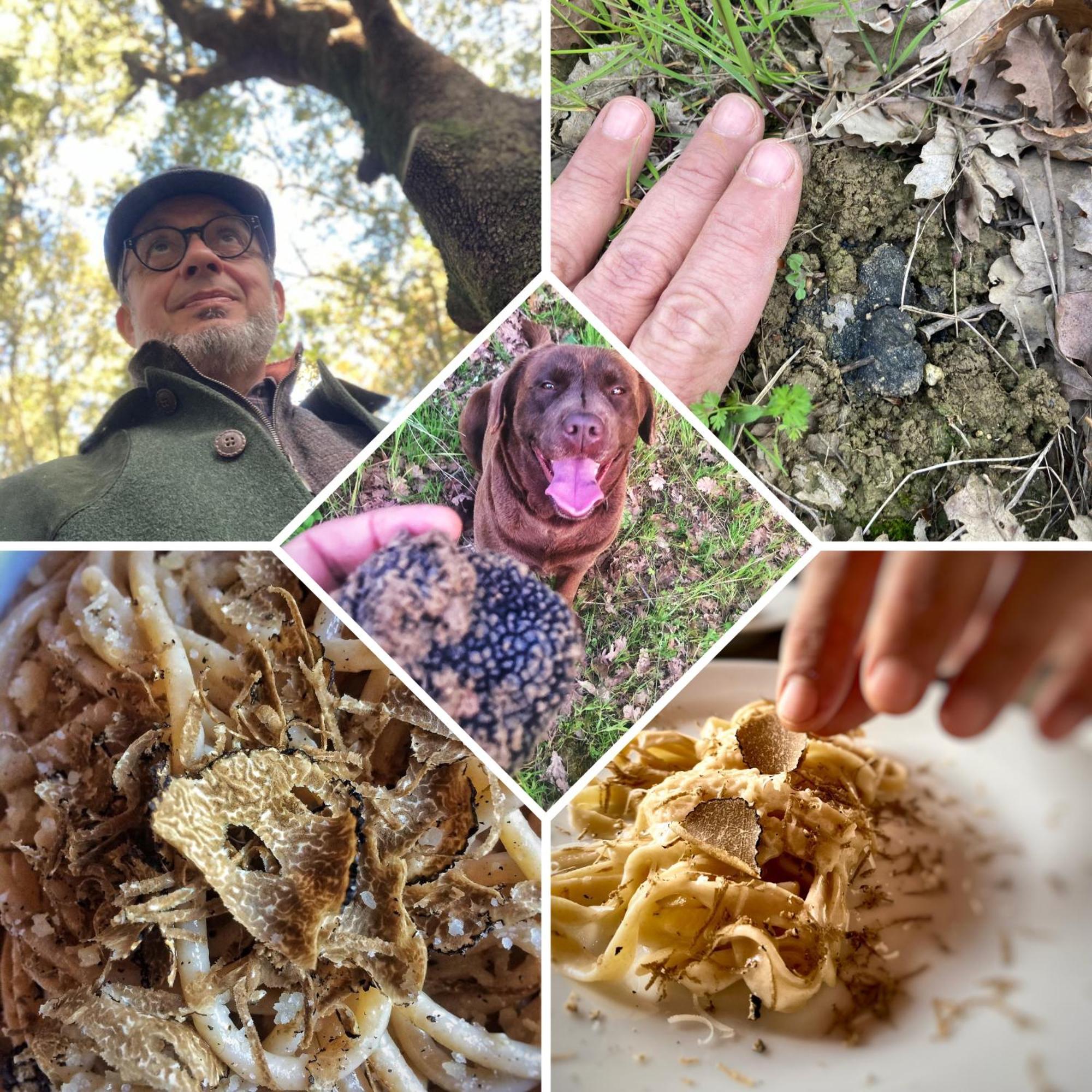 Agriturismo Fattoria Santa Vittoria Pozzo  外观 照片