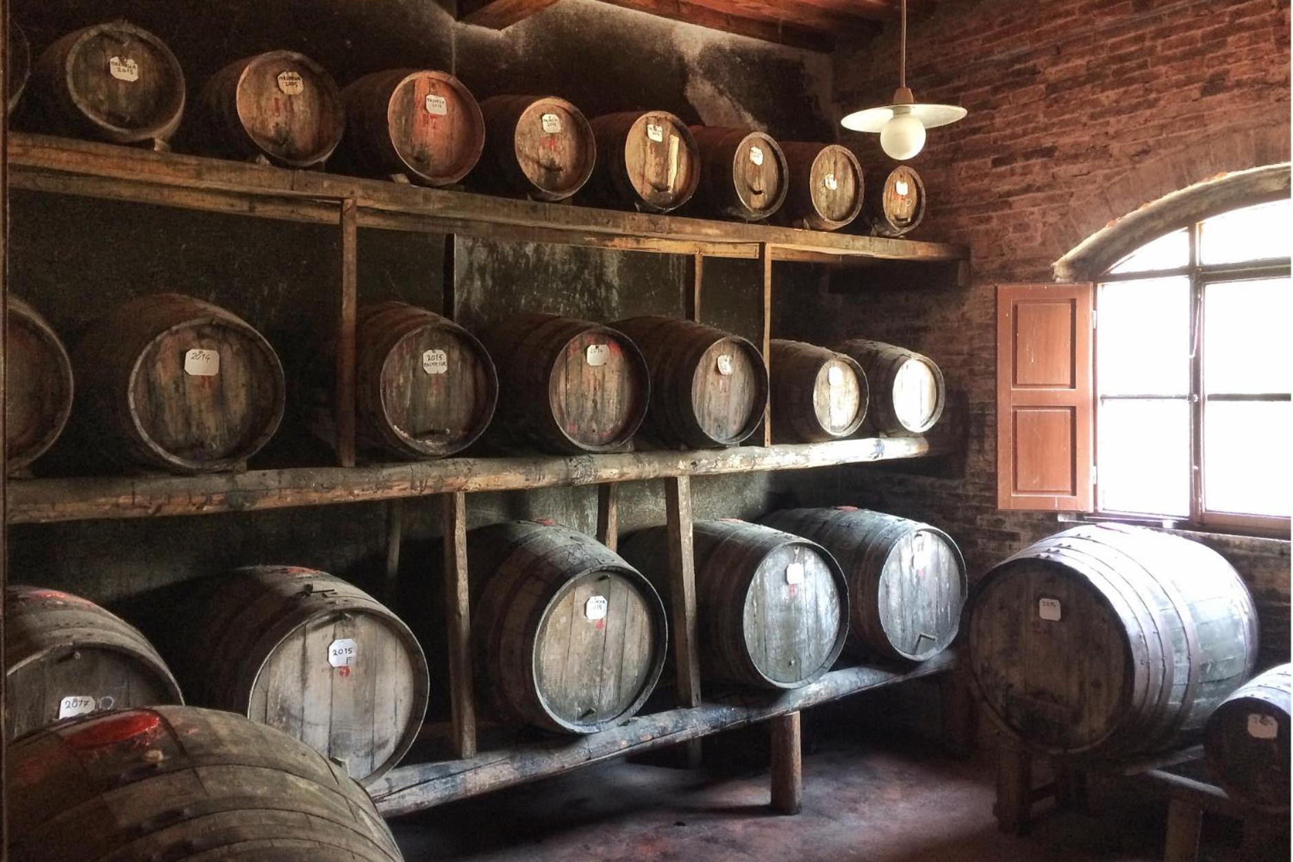 Agriturismo Fattoria Santa Vittoria Pozzo  外观 照片