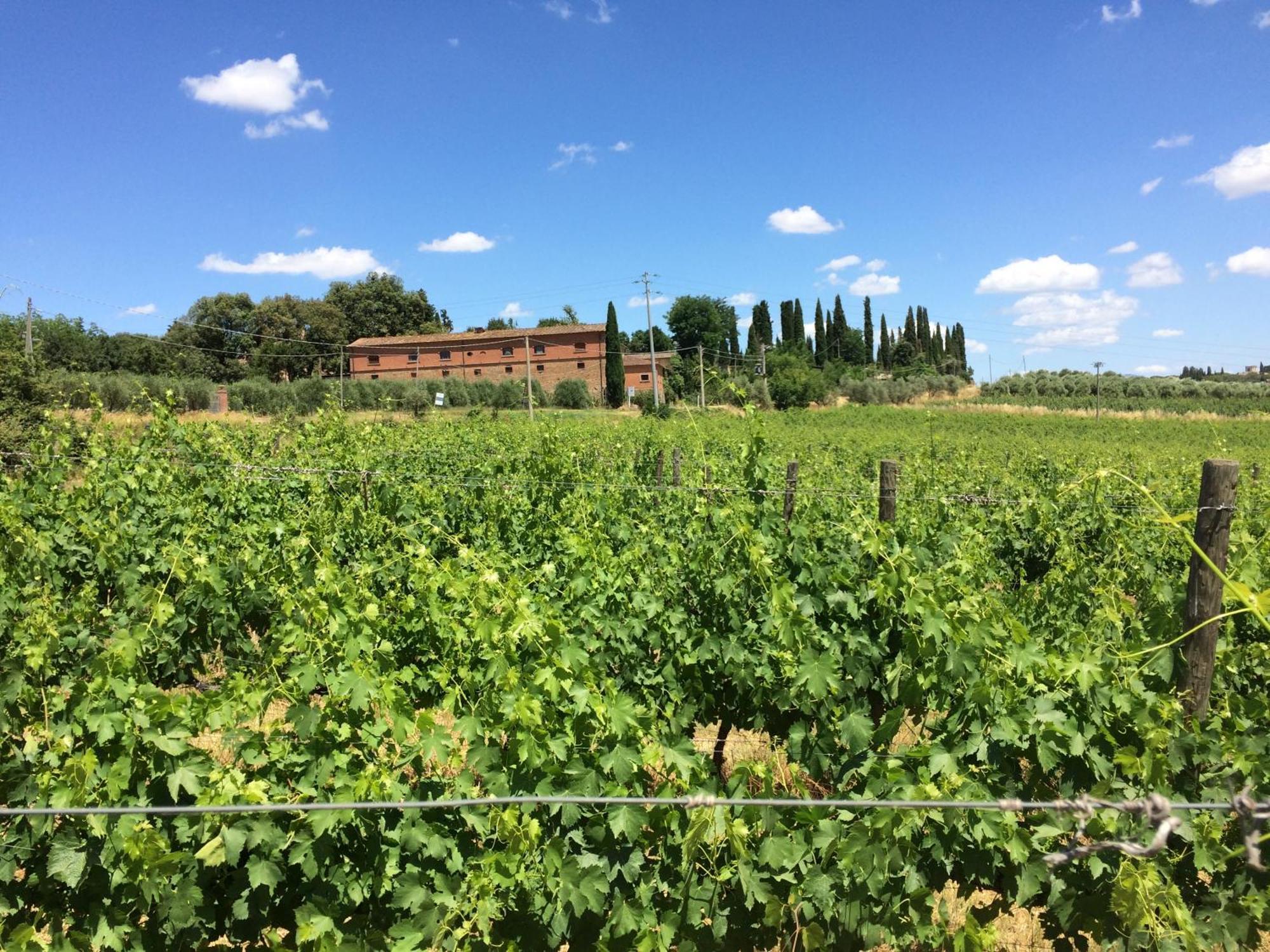 Agriturismo Fattoria Santa Vittoria Pozzo  外观 照片